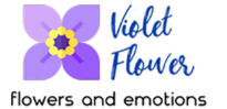 Florist flowers and emotions